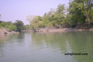  ফাতরার চর 