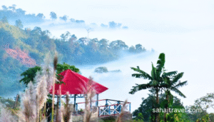 sajek valley tour