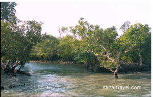 sundarban mangrob ban